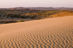 That Desert India