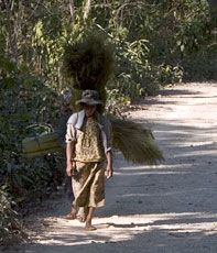 Villager, Ho Chi Minh Trail, Laos