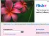 Flickr: The Your Books Pool