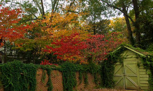 Fall