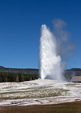 The Endless Crowds of Yellowstone