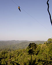 Zip Lines, Jungle, Laos