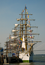 tall ships festival