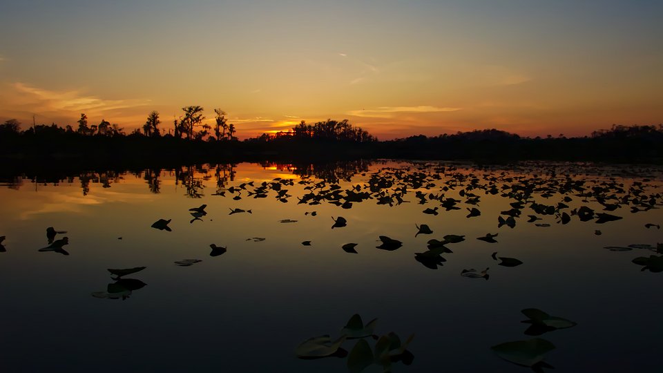 Sunset at Bluff Lake, Okefenokee Swamp
