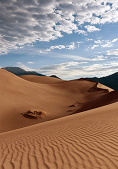 Dunes ridgeline, Great Sand Dunes National Park