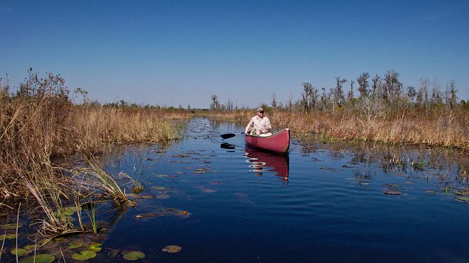 Matt paddling a canoe, Okefenokee Swamp