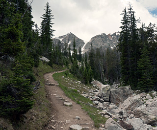 Trail through Paintbrush Canyon, Grand Teton National Park