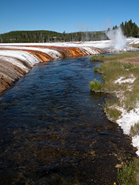 The Firehole River, Yellowstone National Park