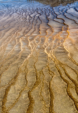 Patterns, Yellowstone National Park