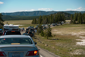 Traffic jam in Yellowstone National Park