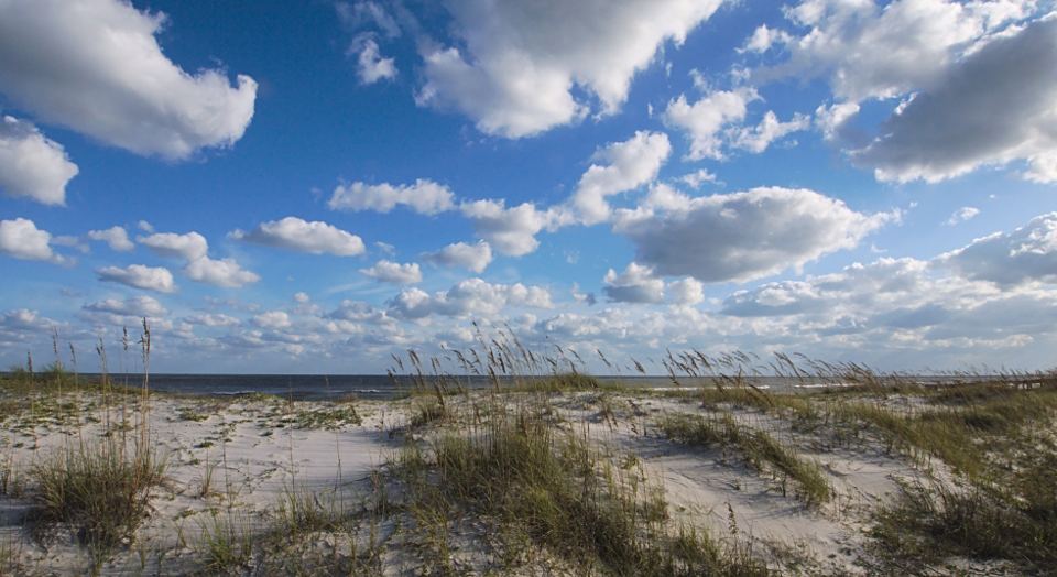 Beach, St George Island, Florida. By Scott Gilbertson