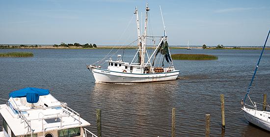 Shrimp boat headed upstream; Apalachicola River and Marsh.