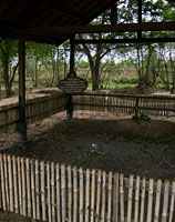 Killing Fields, Phnom Penh Cambodia