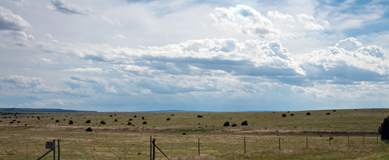 Comanche National Grasslands