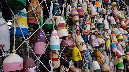 Colorful buoys, Apalachicola, FL