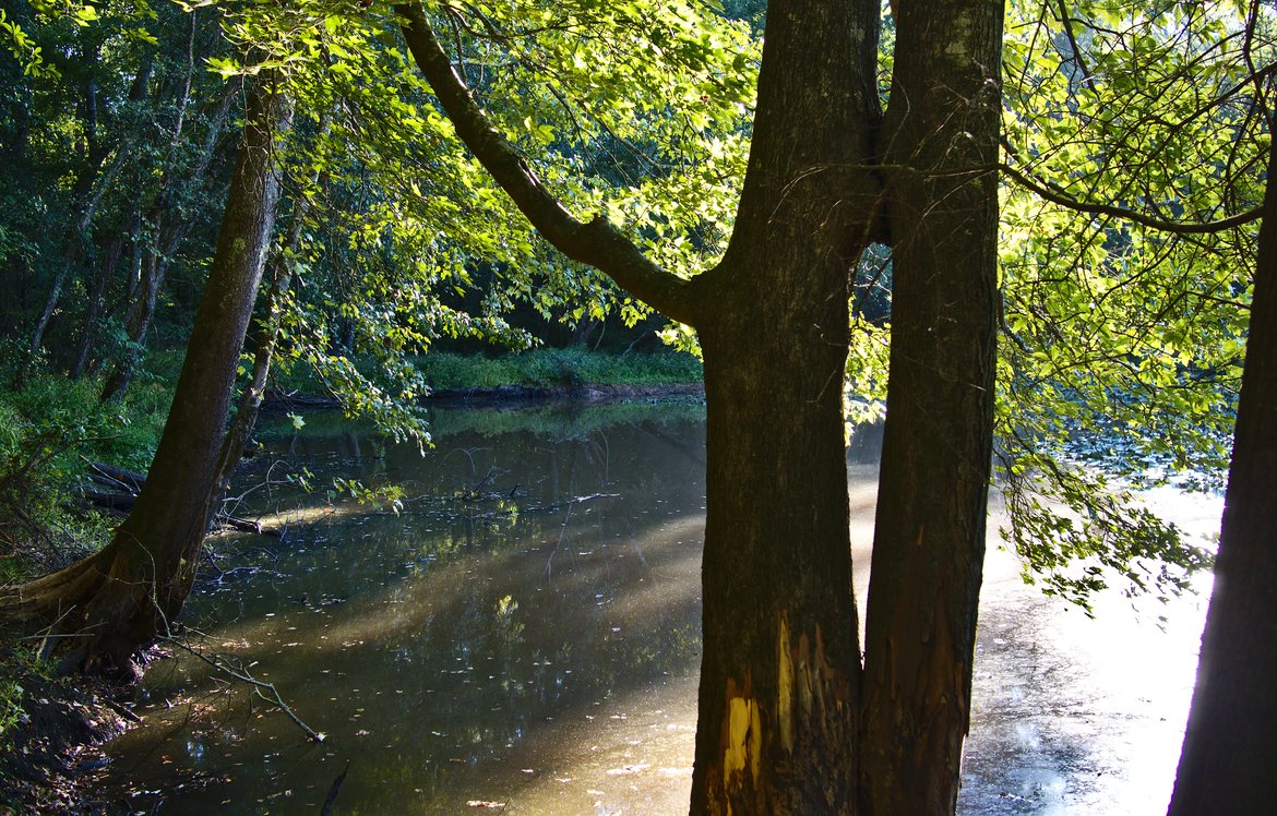 pond photographed by luxagraf