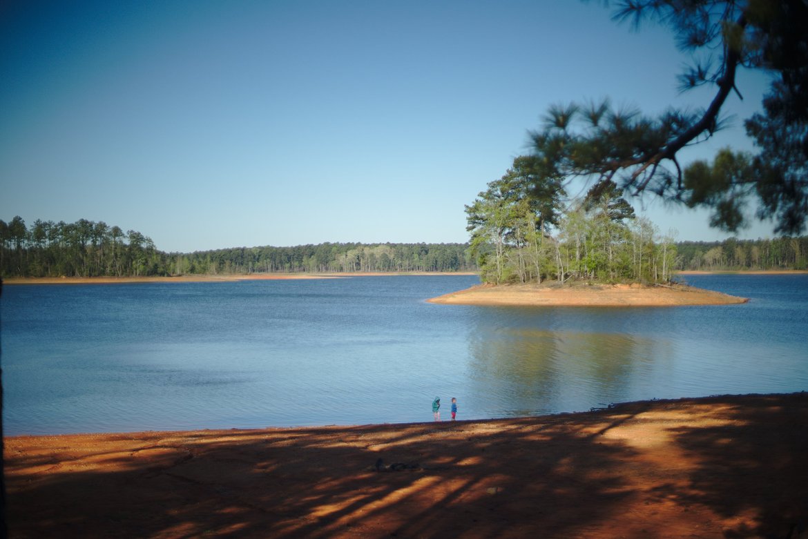 Savannah river, raysville photographed by luxagraf