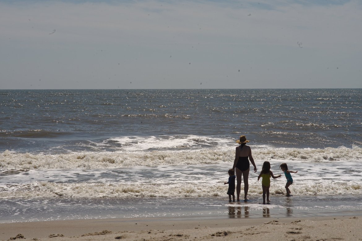 Edisto beach sunny photographed by luxagraf