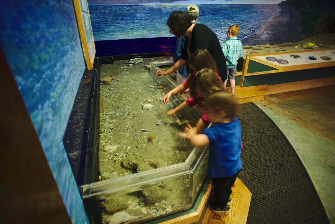 edisto environmental learning center photographed by luxagraf