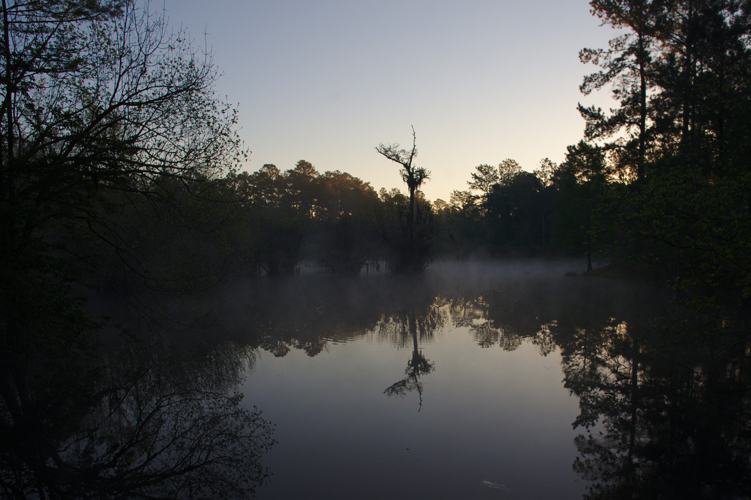 sunrise, pond outside fargo, ga photographed by luxagraf