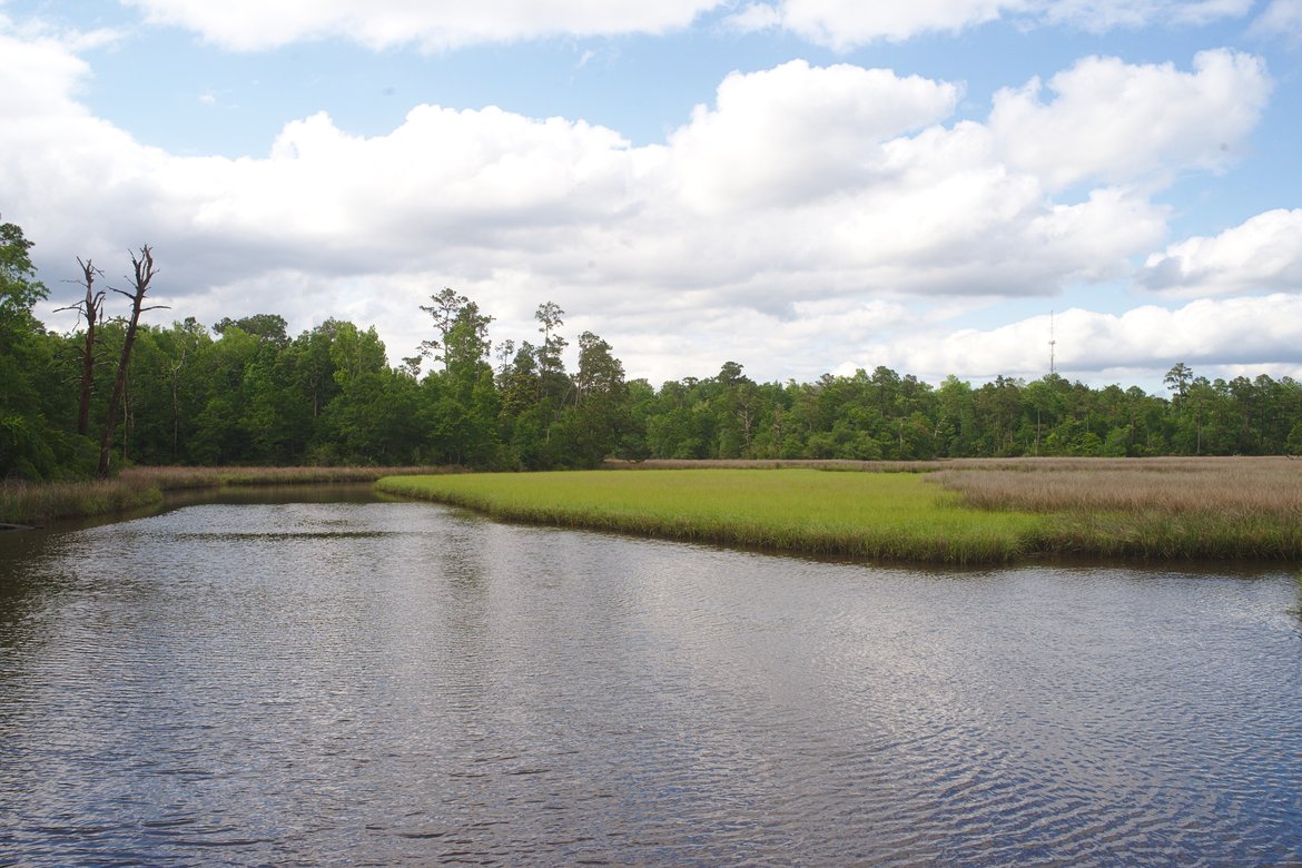 davis bayou photographed by Scott Gilbertson