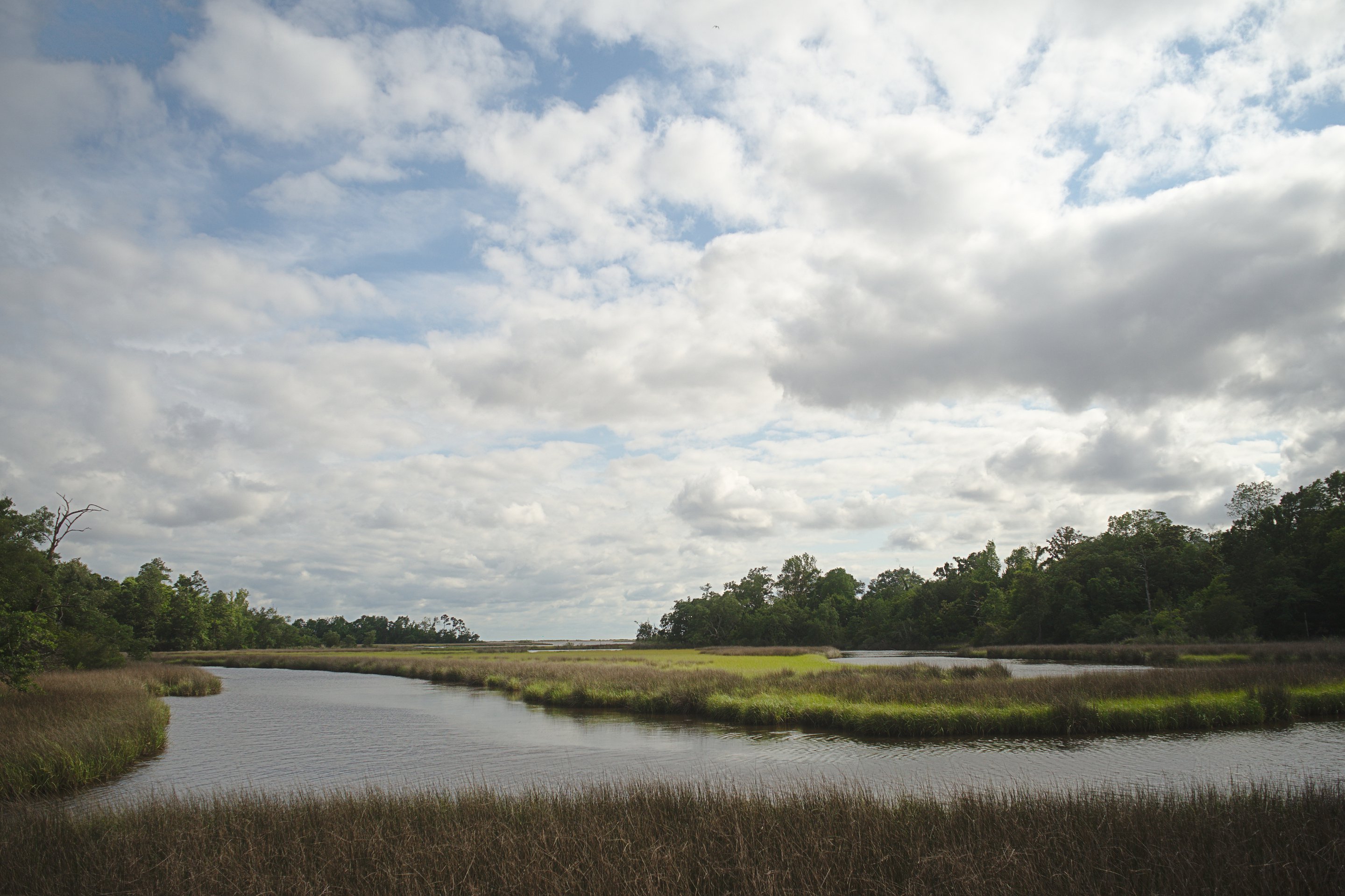 marsh, davis bayou photographed by luxagraf