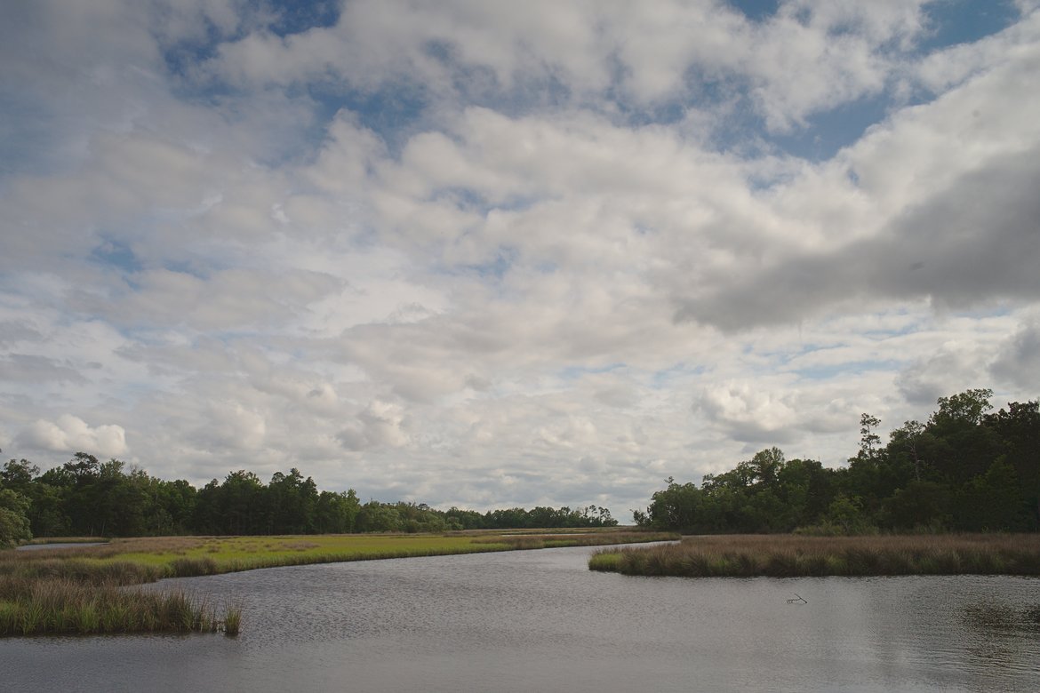 marsh, davis bayou photographed by luxagraf