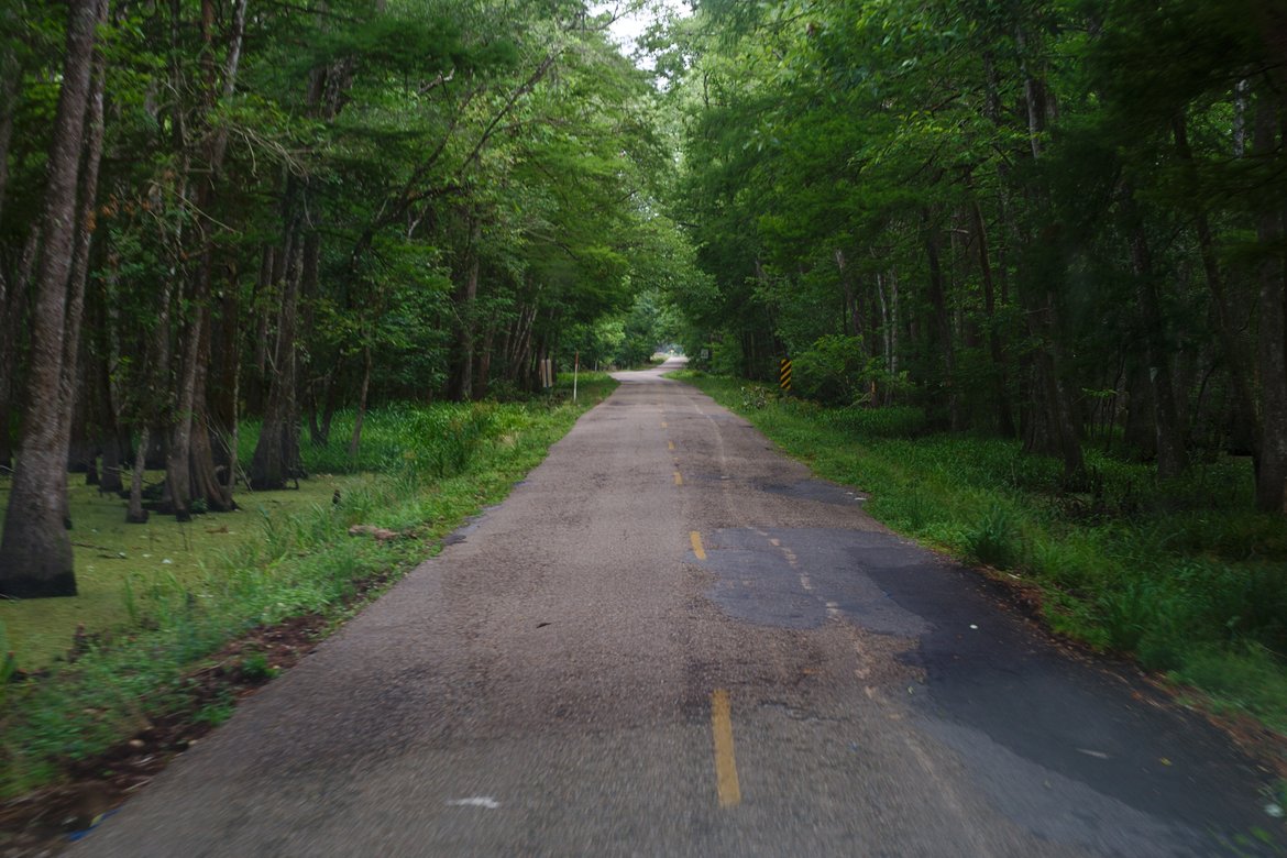 road, abbeville, LA photographed by luxagraf