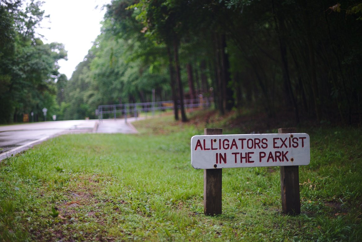 Aligators exist photographed by Scott Gilbertson