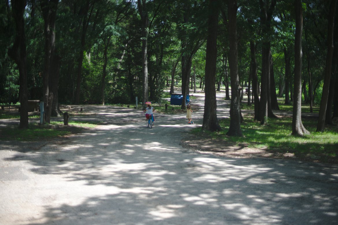 Empty campground photographed by Scott Gilbertson