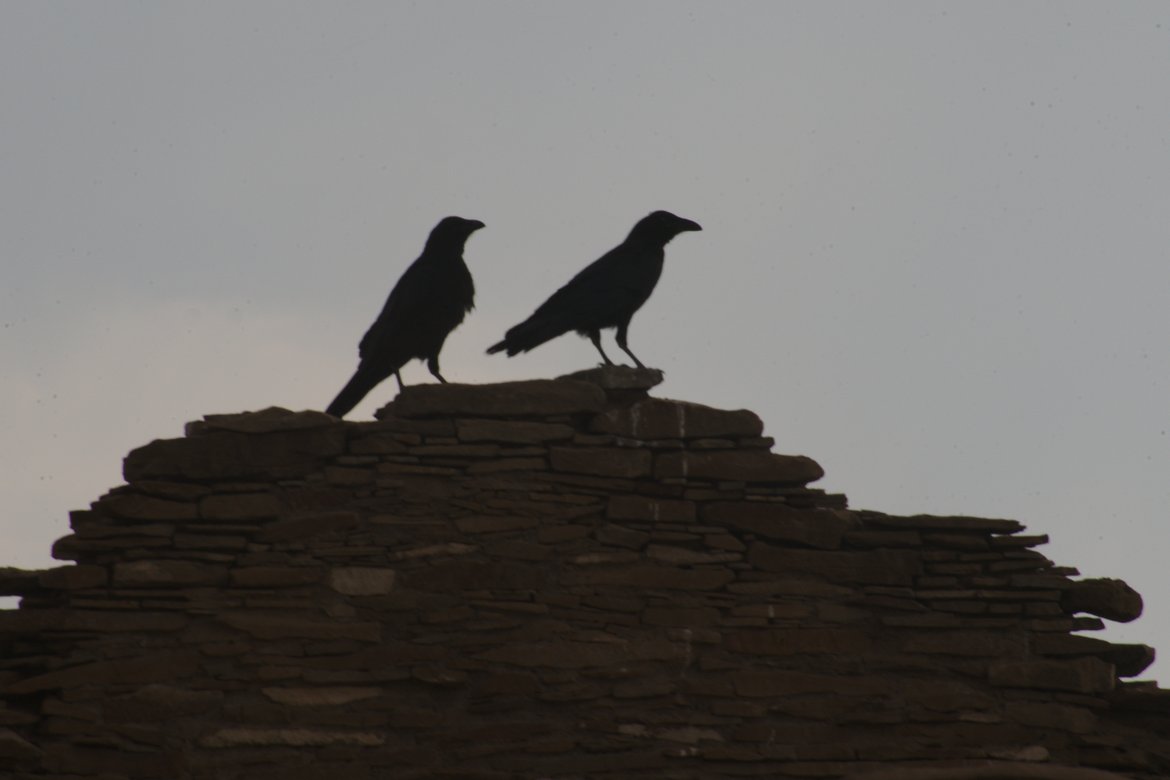 ravens, chaco canyon photographed by luxagraf