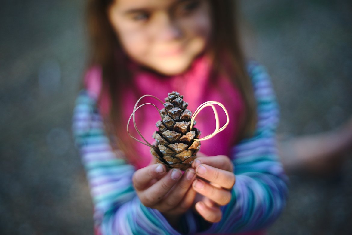 bee cones photographed by luxagraf