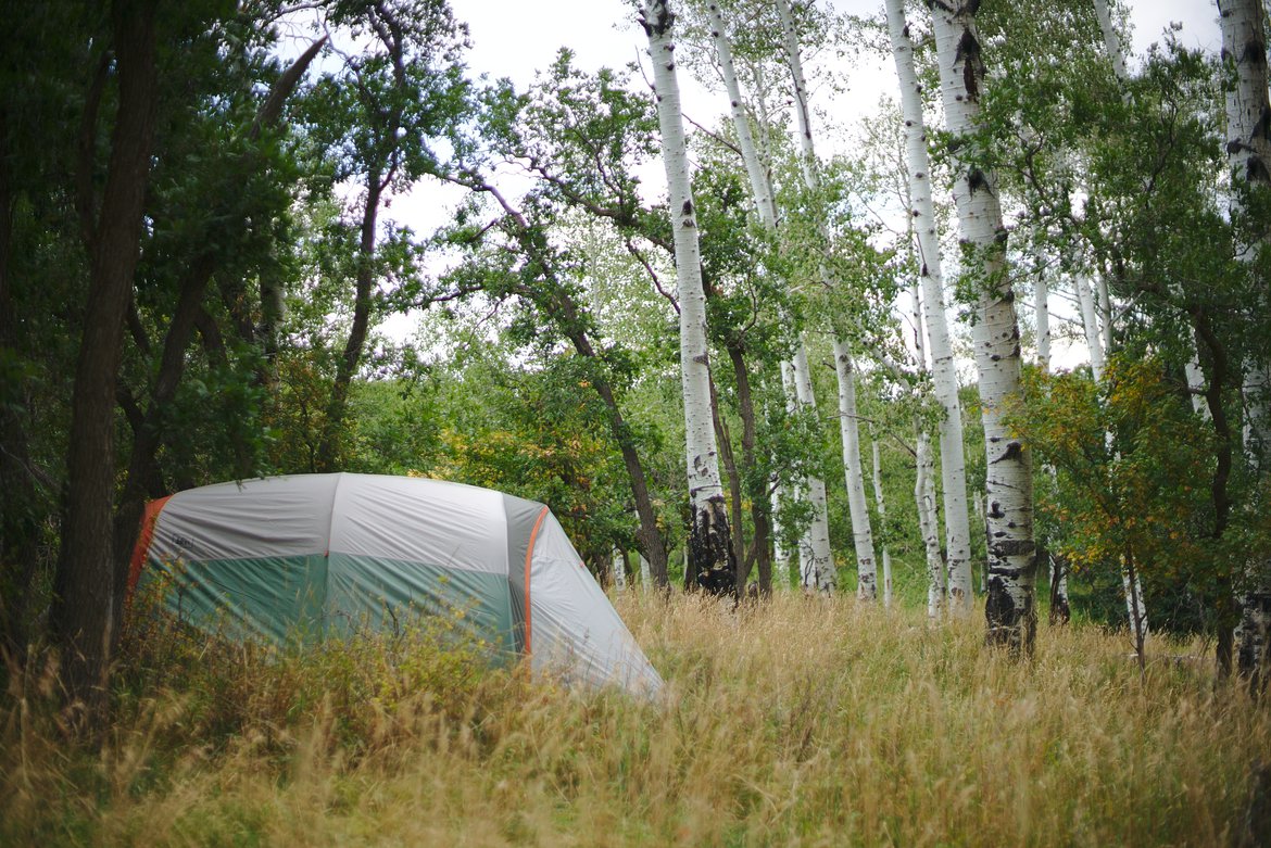 camping in aspen grove photographed by luxagraf