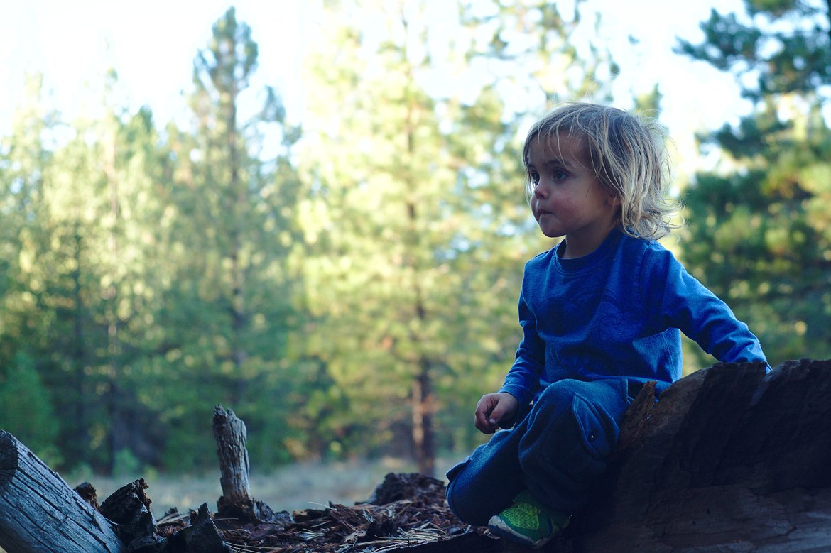 sitting on a log photographed by luxagraf