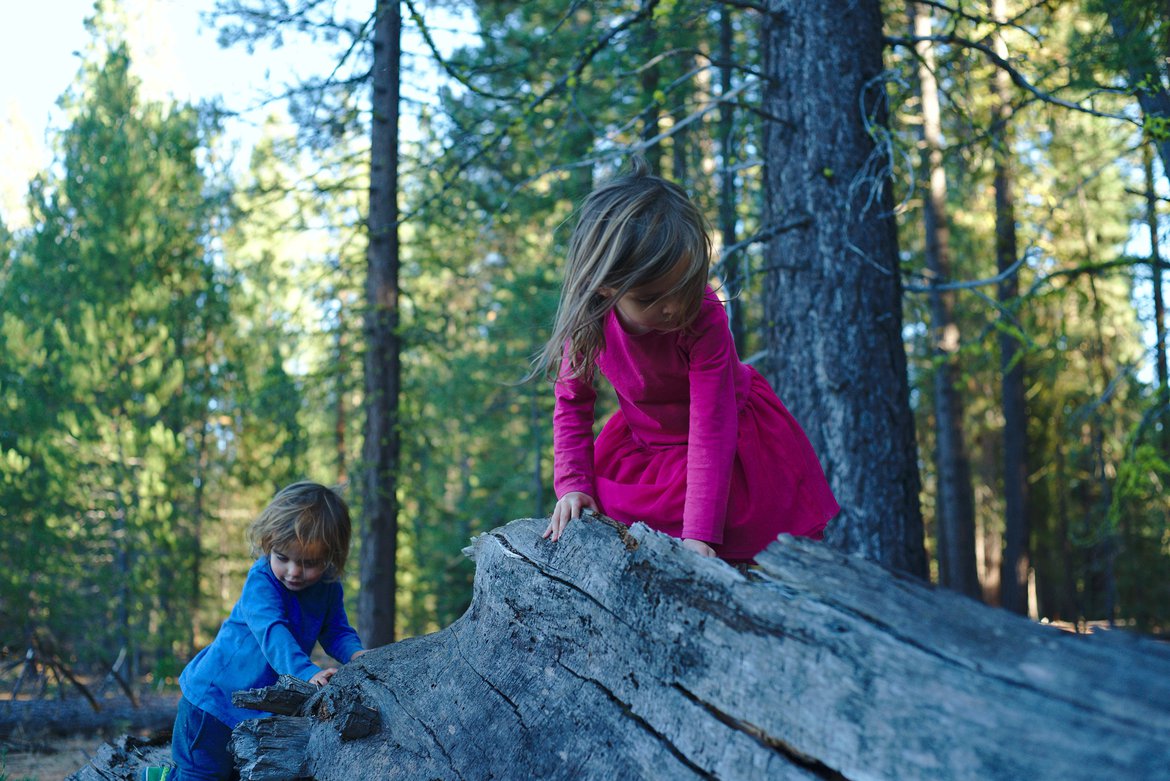 forest explorers photographed by luxagraf