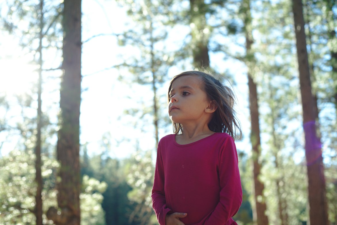 breathing the forest photographed by luxagraf