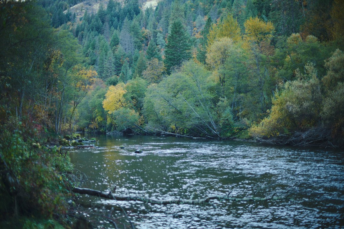 trinity river photographed by luxagraf