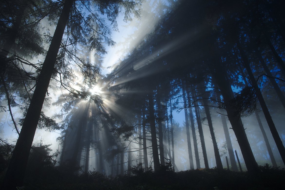 patrick's point, humbolt photographed by luxagraf