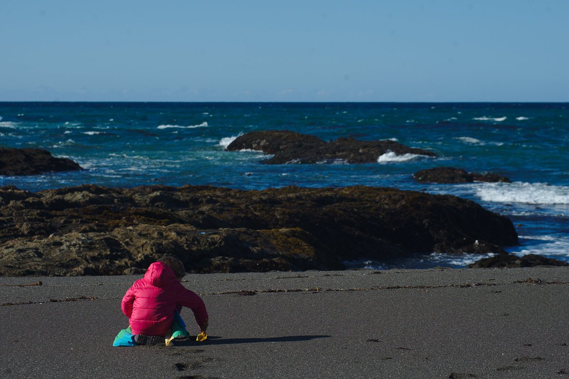 beach, fort bragg, ca photographed by luxagraf