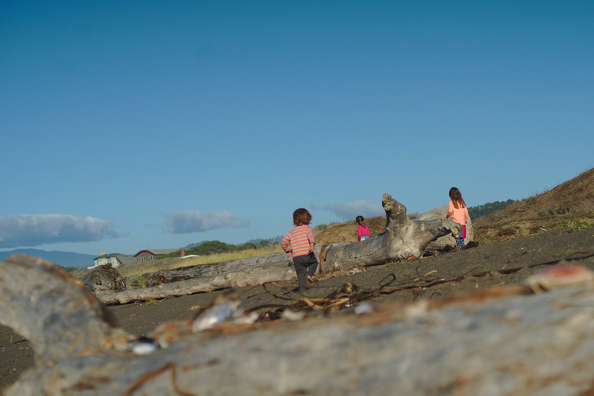 beach, fort bragg, ca photographed by luxagraf