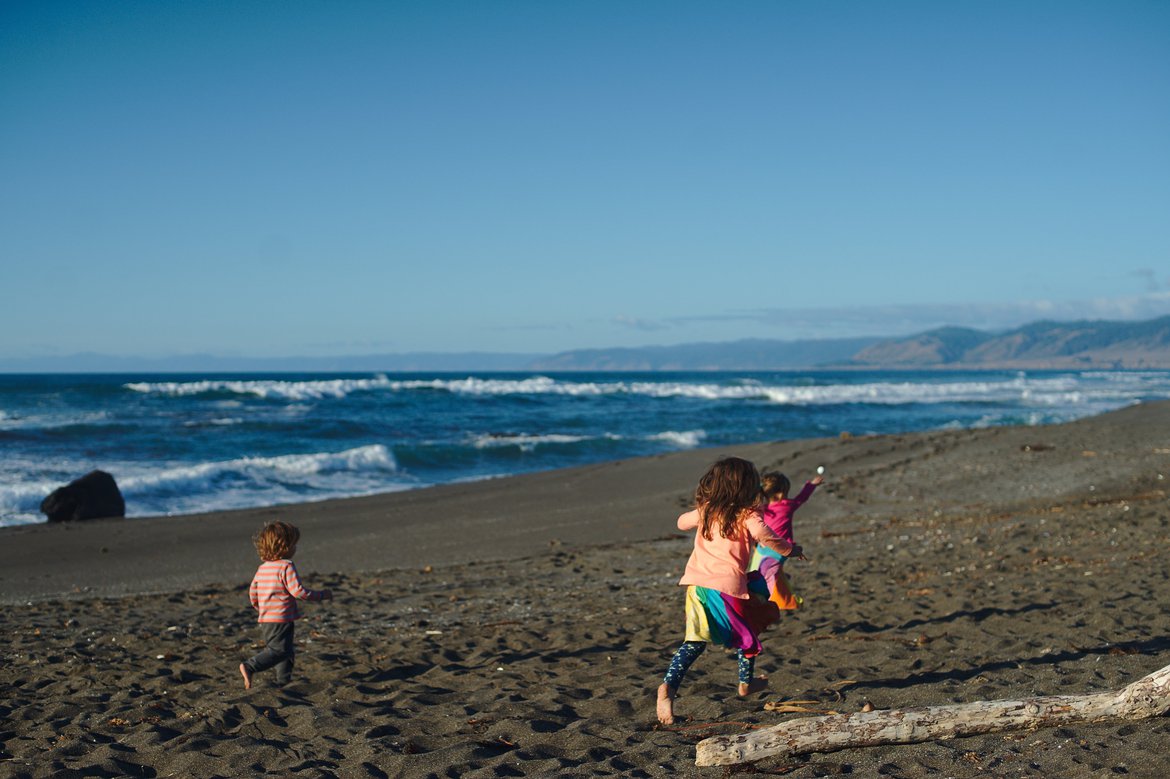 beach, fort bragg, ca photographed by luxagraf