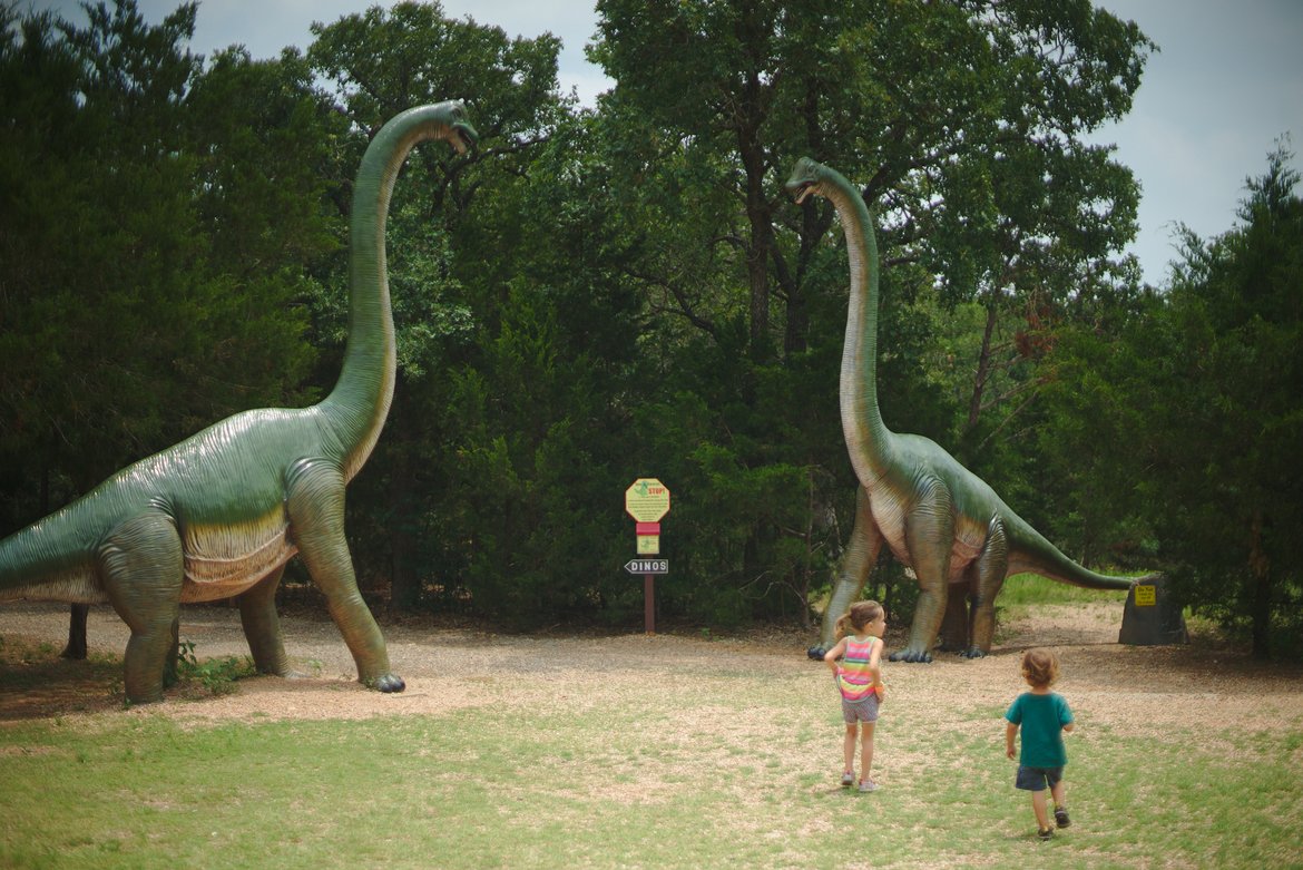 dinosaur park, bastrop, tx photographed by luxagraf