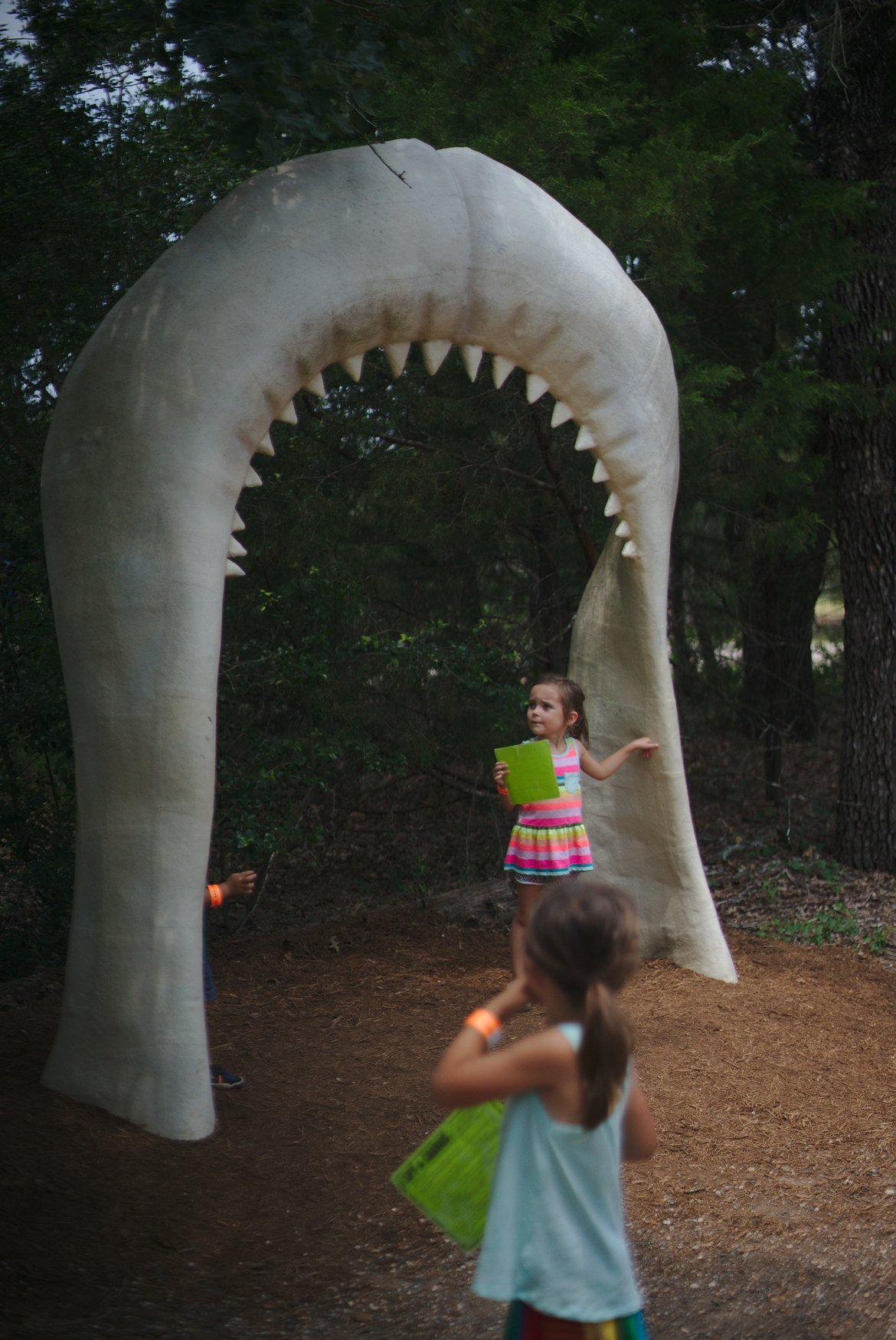 dinosaur park, bastrop, tx photographed by luxagraf