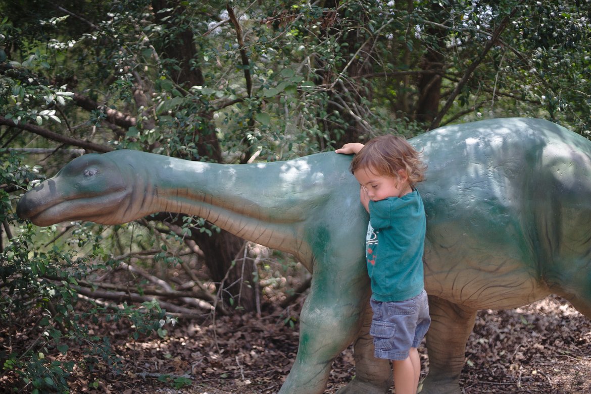 dinosaur park, bastrop, tx photographed by luxagraf