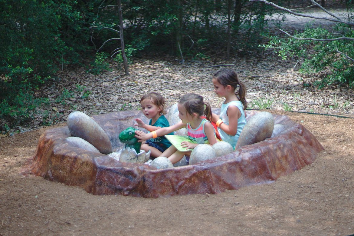 dinosaur nest, dinosaur park, bastrop, tx photographed by luxagraf