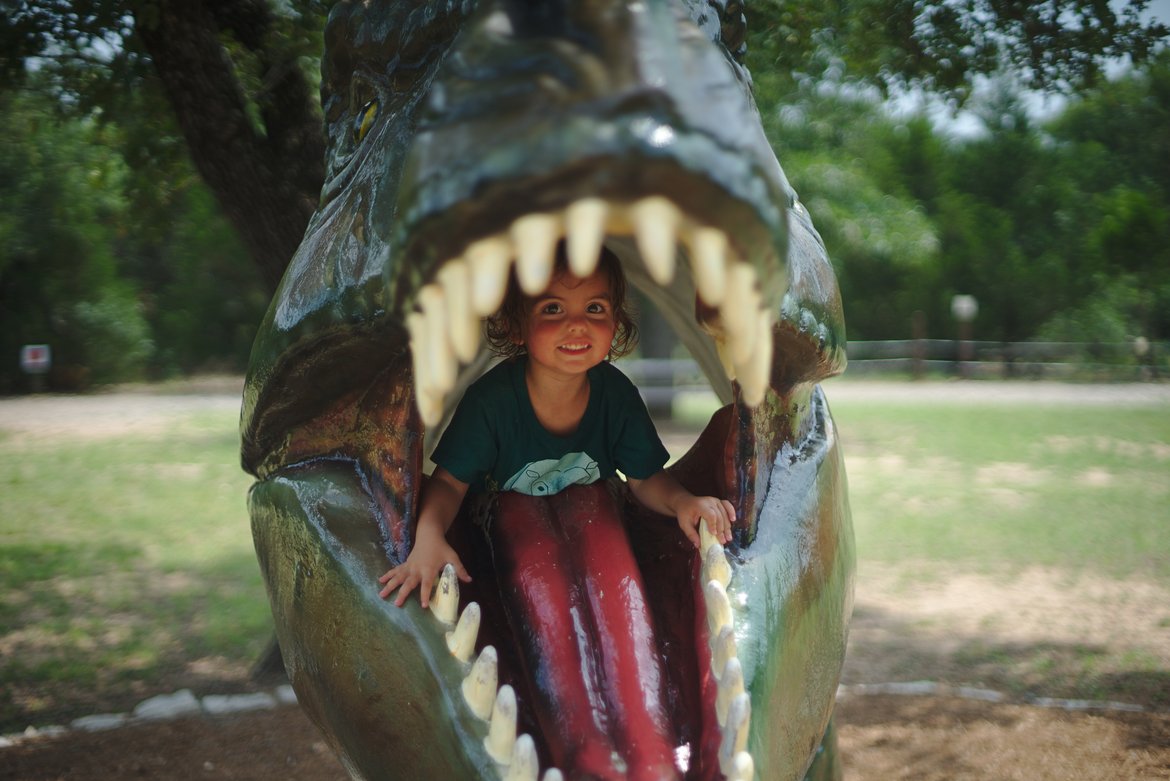 trex mouth, dinosaur park, bastrop, tx photographed by luxagraf