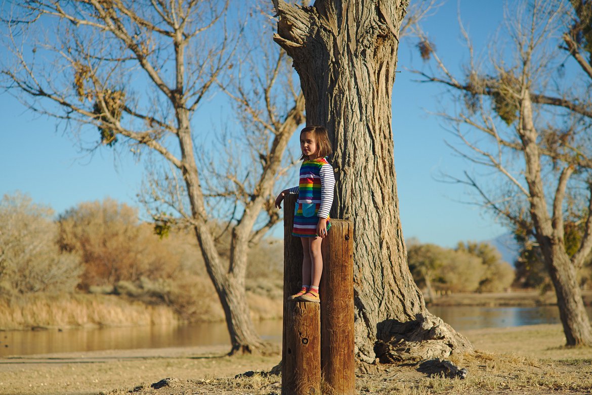 mojave narrows regional park photographed by luxagraf