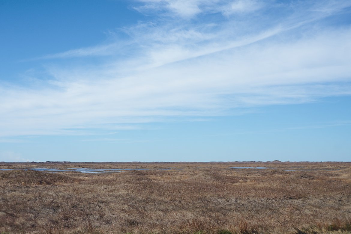 Marshes, Padre Island National Seashore photographed by luxagraf