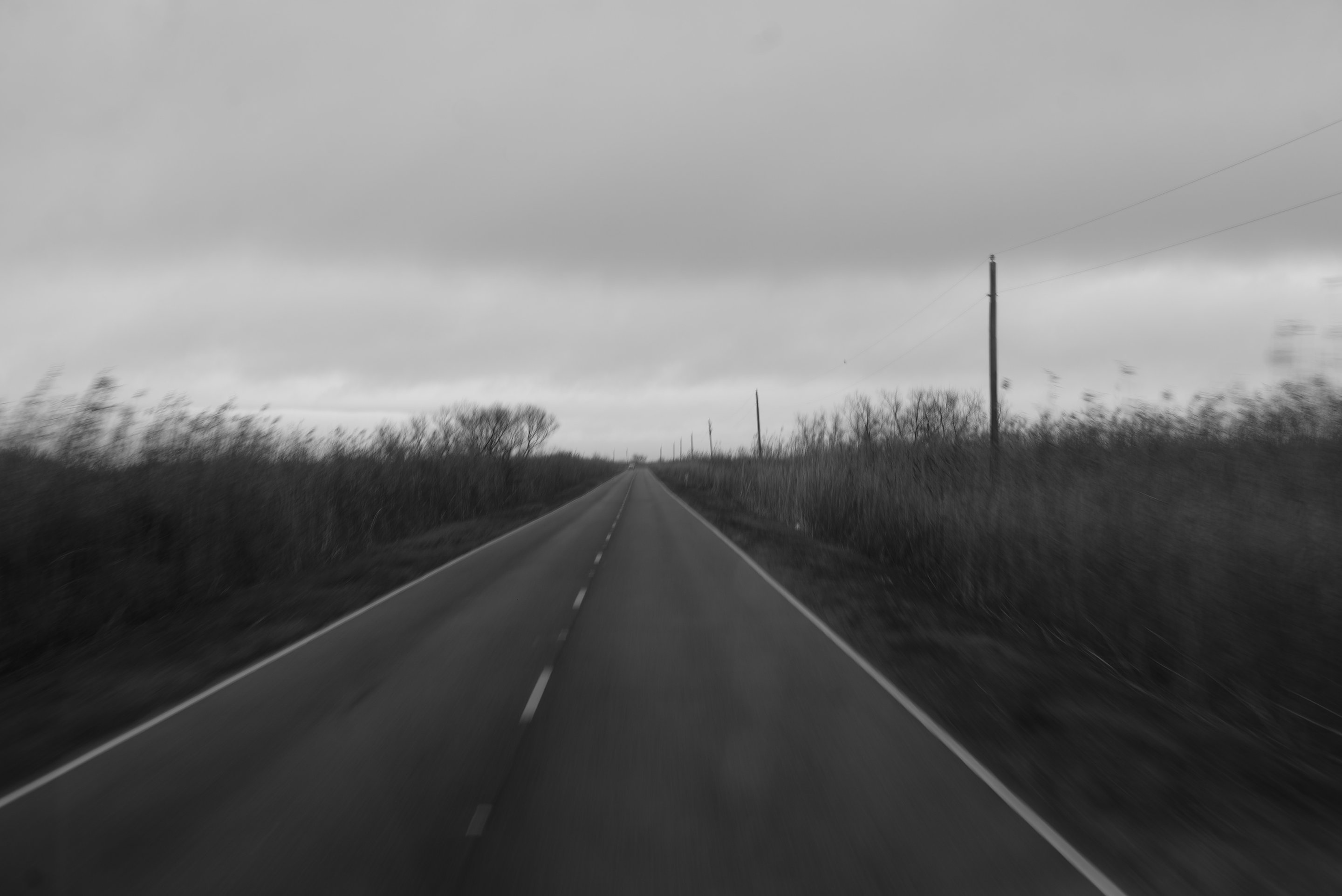 driving south lousiana photographed by luxagraf