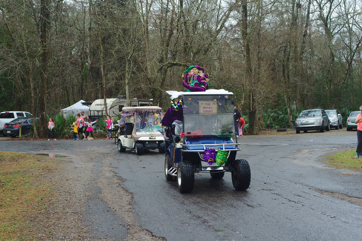 palmetto island mardi gras photographed by luxagraf